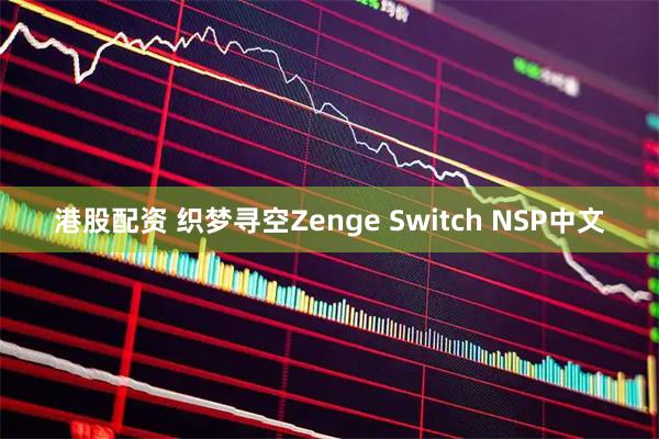 港股配资 织梦寻空Zenge Switch NSP中文