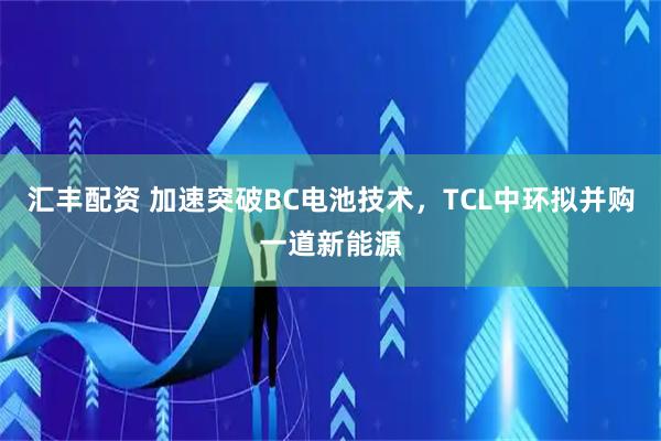 汇丰配资 加速突破BC电池技术,TCL中环拟并购一道新能源