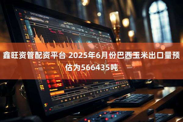 鑫旺资管配资平台 2025年6月份巴西玉米出口量预估为566435吨
