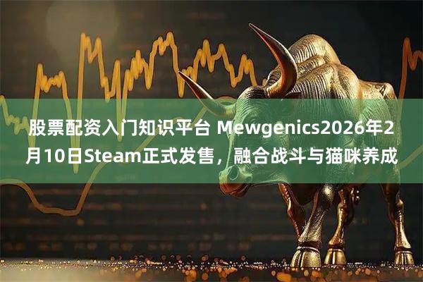股票配资入门知识平台 Mewgenics2026年2月10日Steam正式发售，融合战斗与猫咪养成